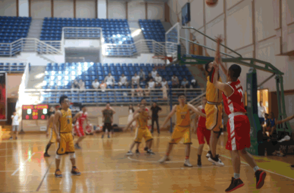 1574847831191804.gif 3.gif