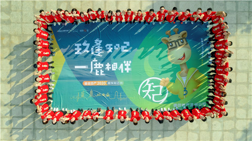 1598952379273304.jpg 006.jpg