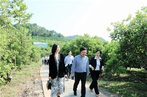 1619069831286876.jpg 3.jpg